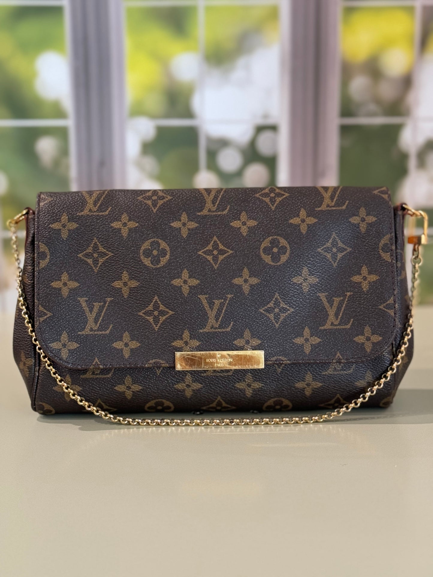 Preowned Louis Vuitton Favorite Monogram Mm size