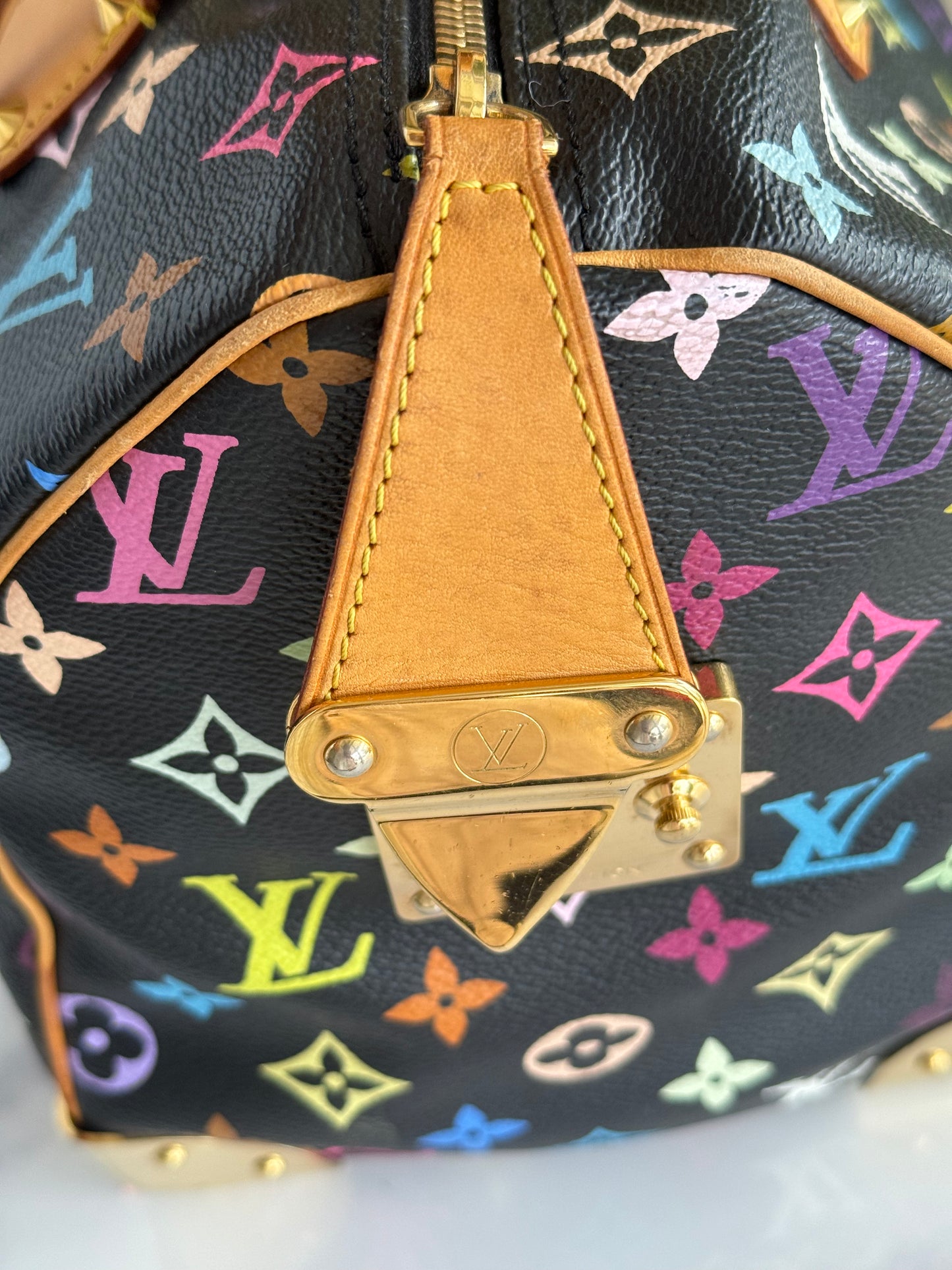 Pre-Owned Louis Vuitton Multicolor Speedy Noir