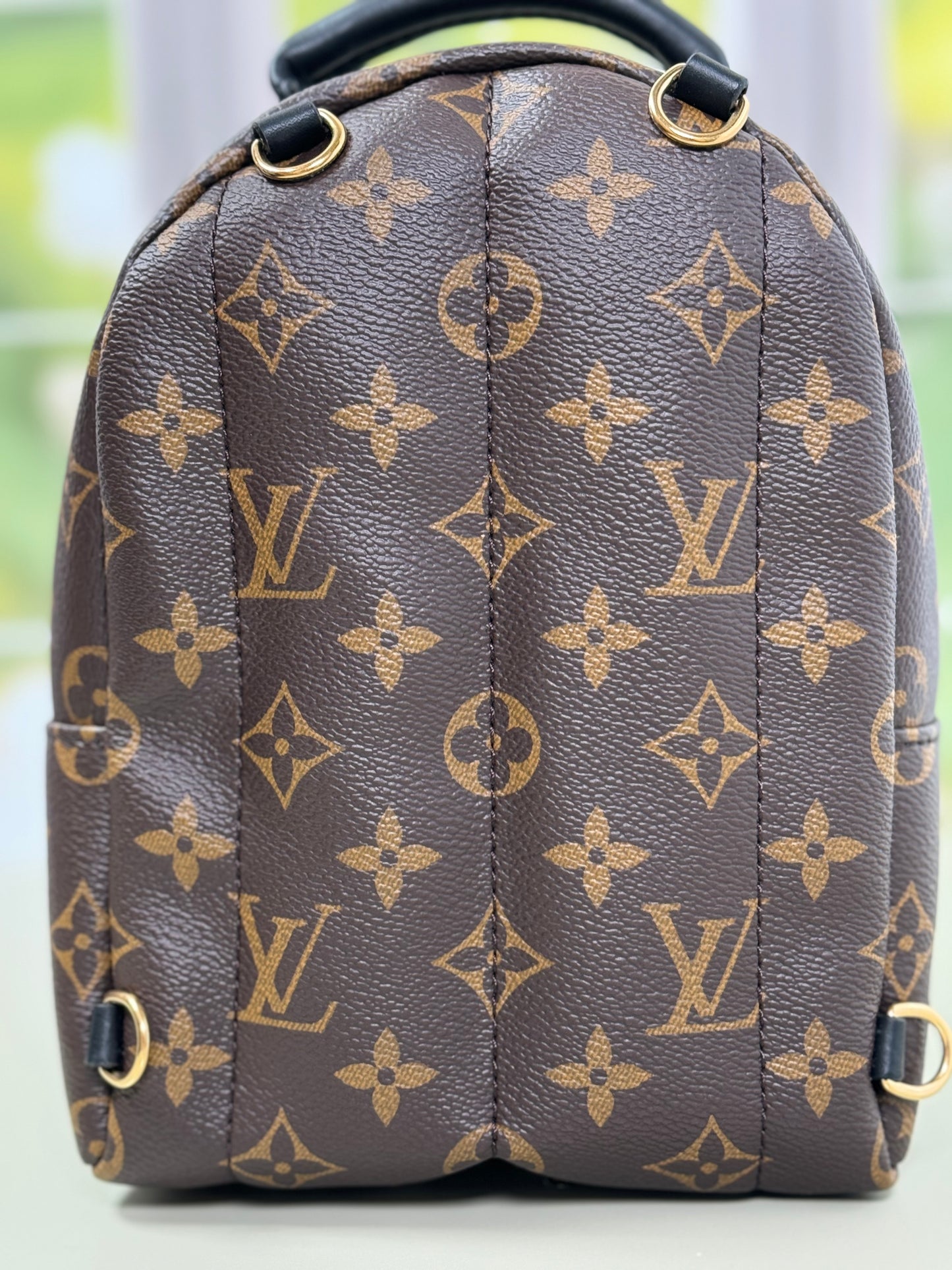 Preowned Louis Vuitton Palm Spring Mini