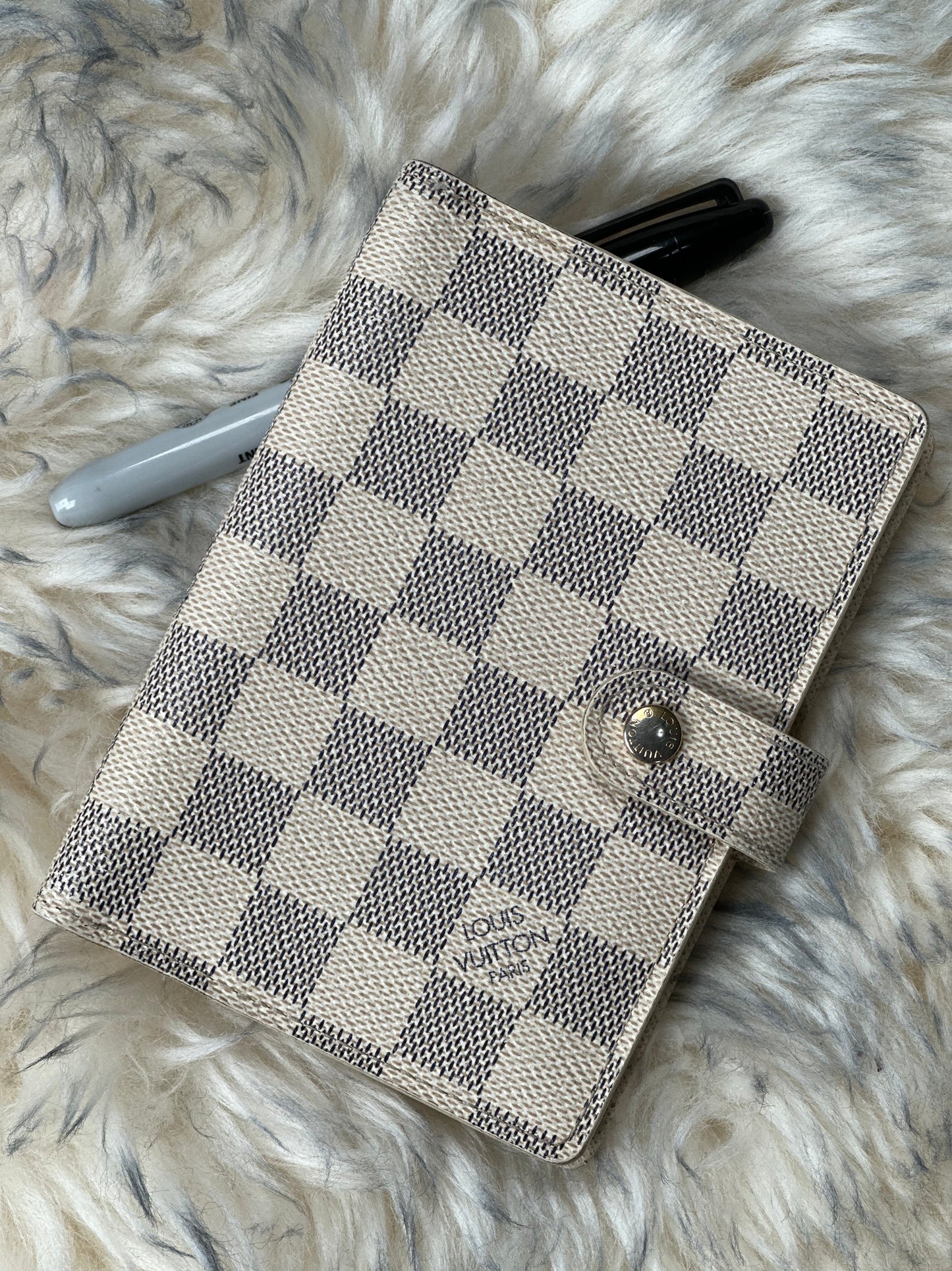 Preowned Louis Viitton Agenda PM size DA