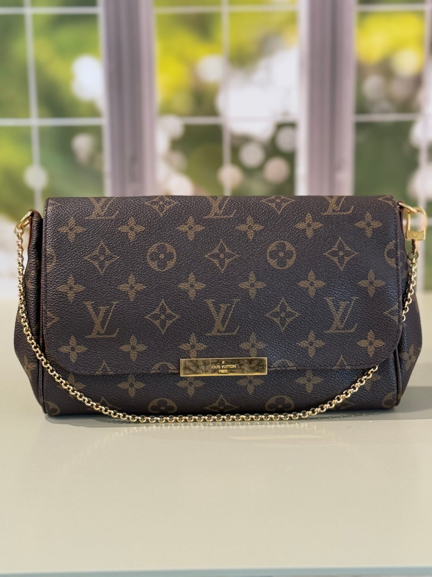 Preowned Louis Vuitton Favorite Monogram MM size