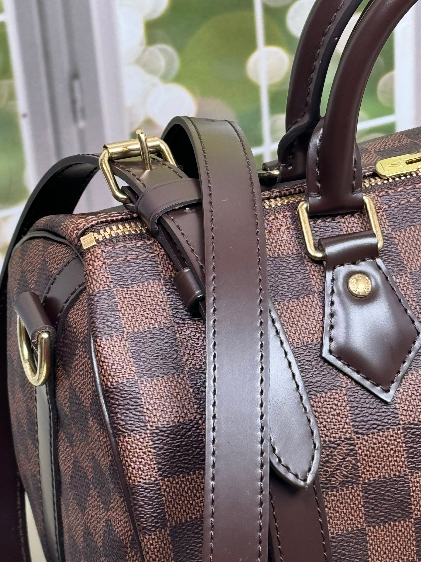 Preowned Louis Vuitton Speedy 30B Damier Ebene