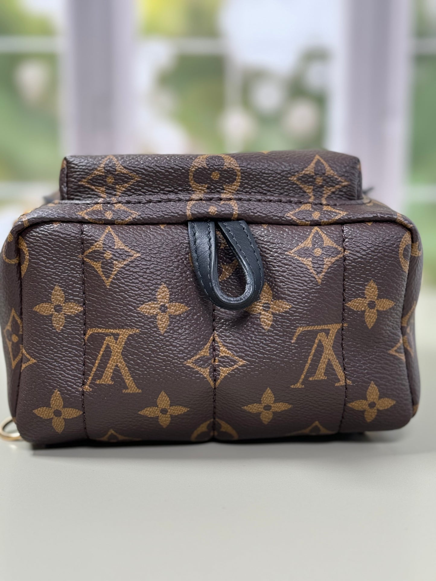 Preowned Louis Vuitton Palm Spring Mini