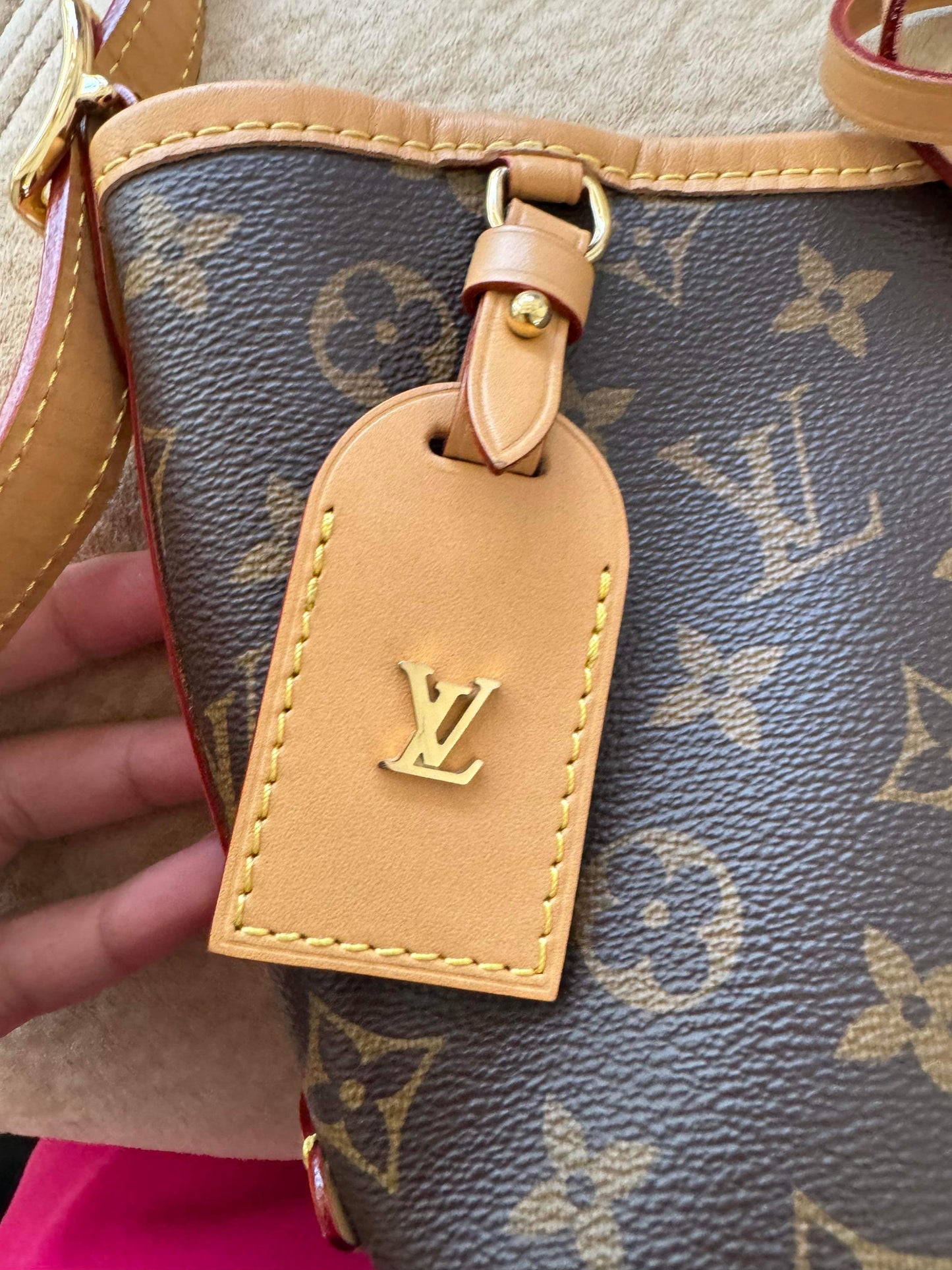 Preowned Louis Vuitton Carry all PM size