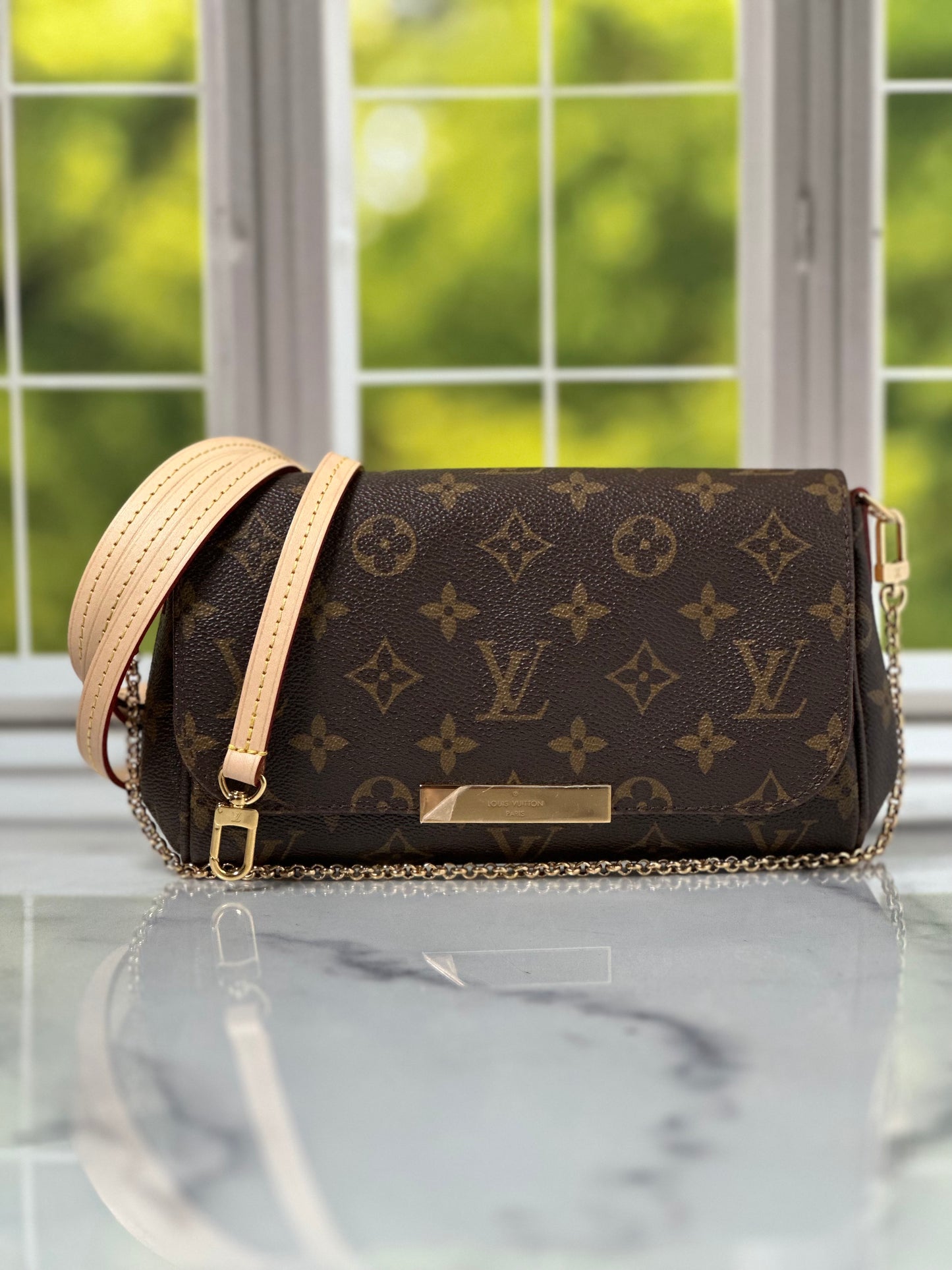 Preowned Louis Vuitton Favorite PM size