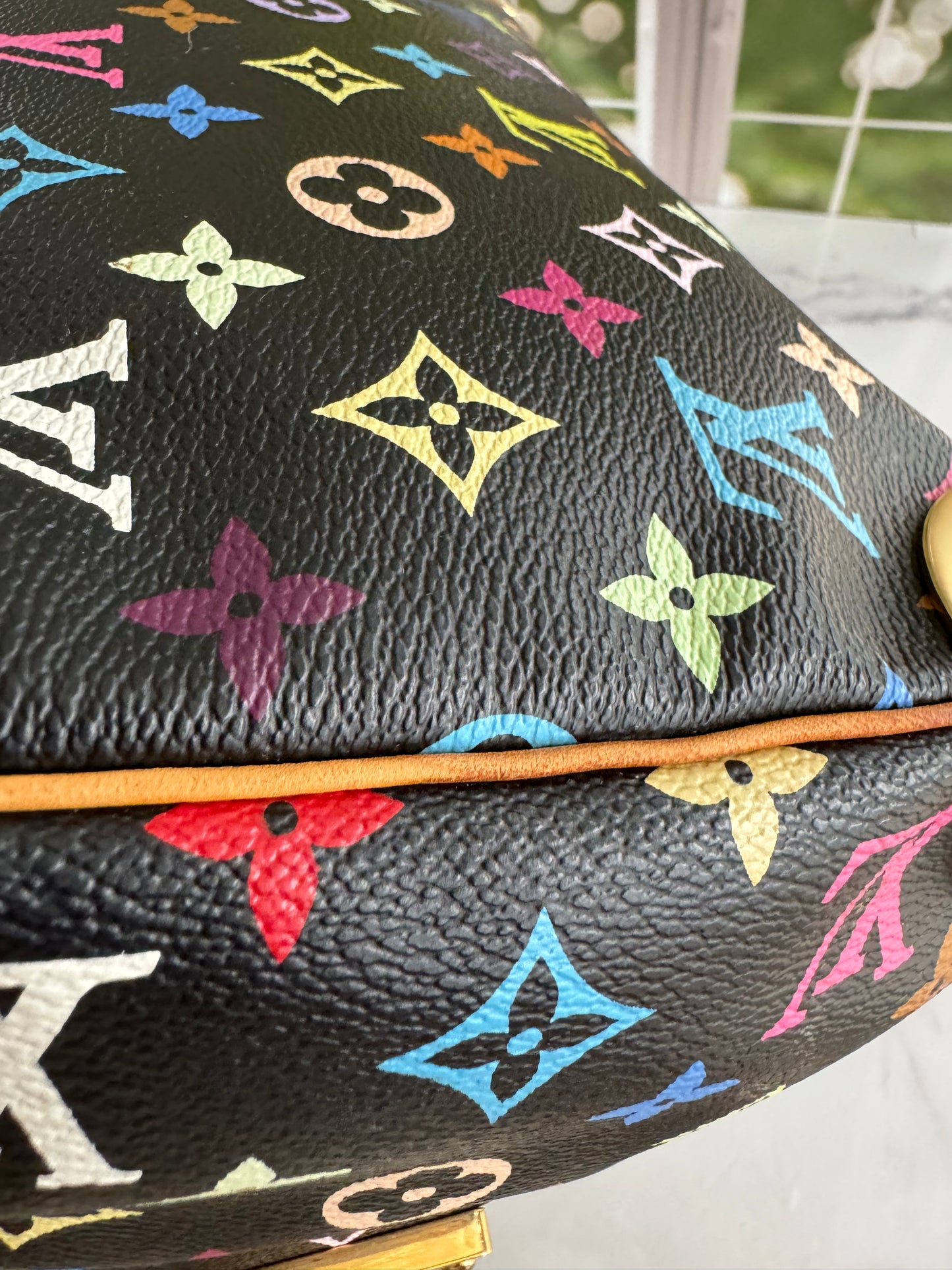 Pre-Owned Louis Vuitton Multicolor Speedy Noir