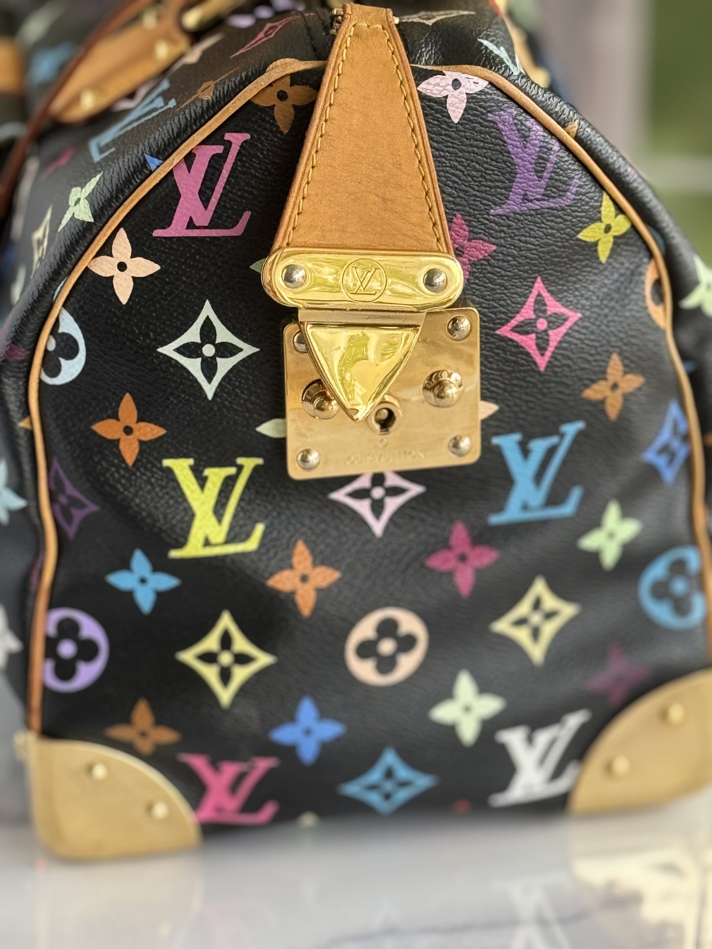 Pre-Owned Louis Vuitton Multicolor Speedy Noir