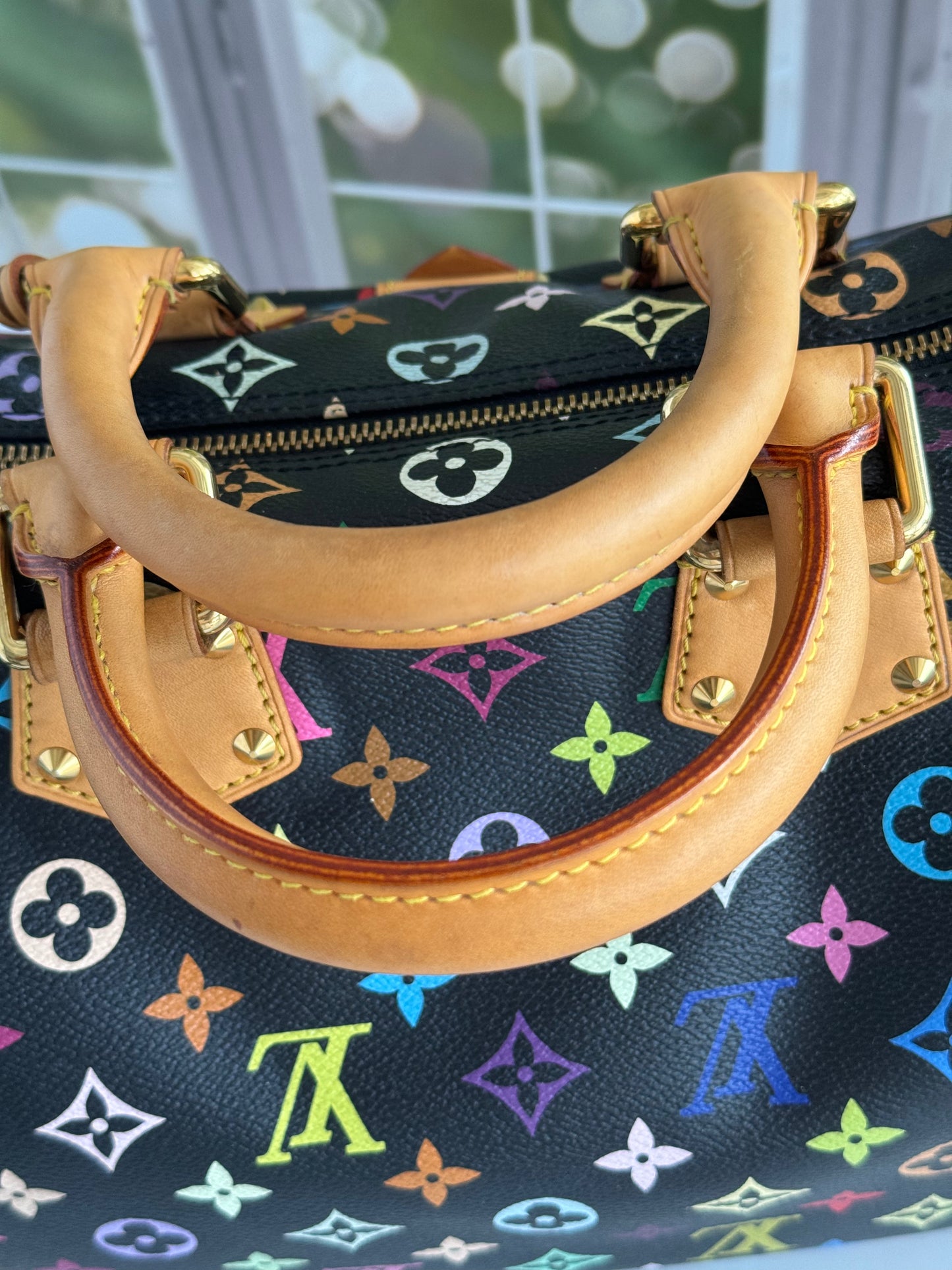 Pre-Owned Louis Vuitton Multicolor Speedy Noir