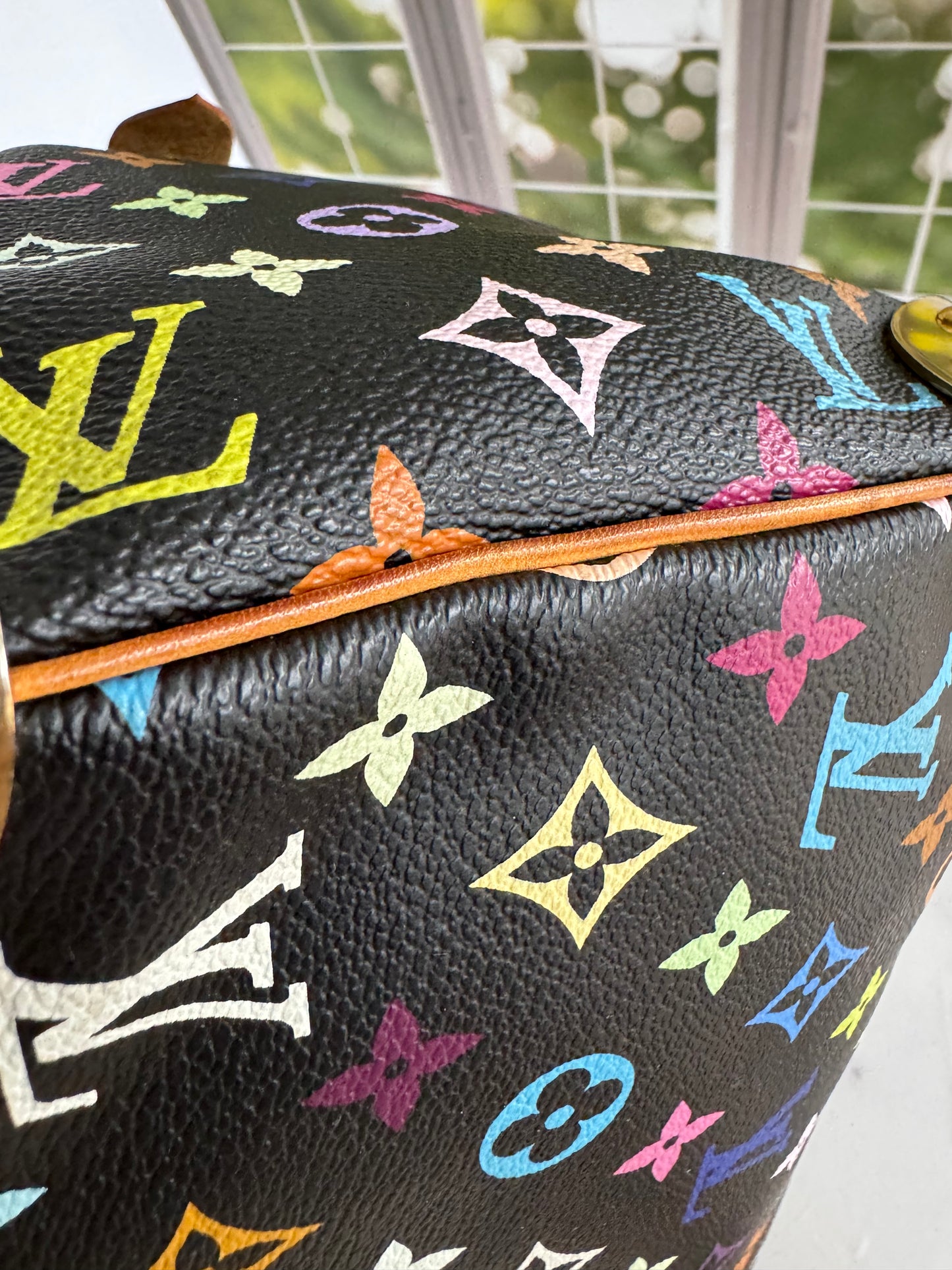 Pre-Owned Louis Vuitton Multicolor Speedy Noir