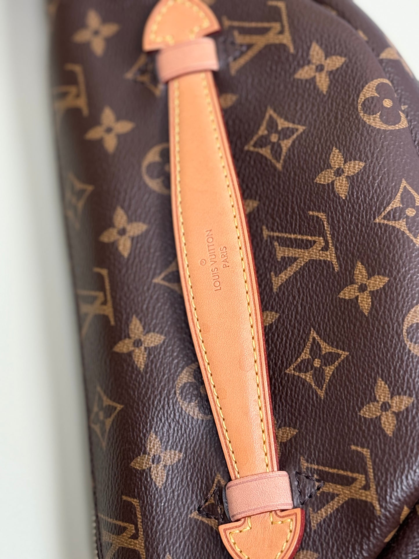 Preowned Louis Vuitton Bumbag Monogram