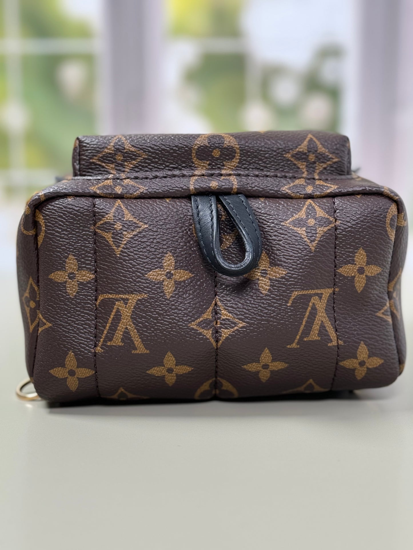 Preowned Louis Vuitton Palm Spring Mini