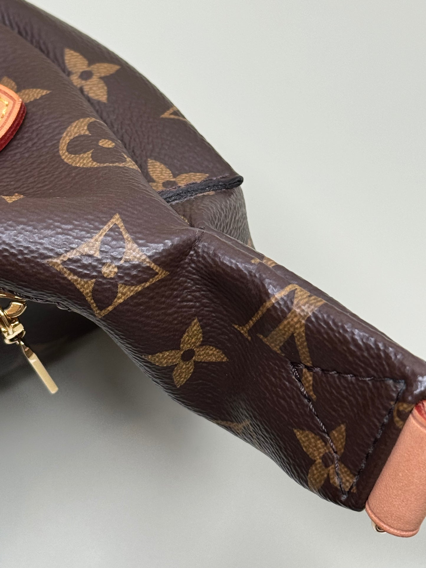 Preowned Louis Vuitton Bumbag Monogram