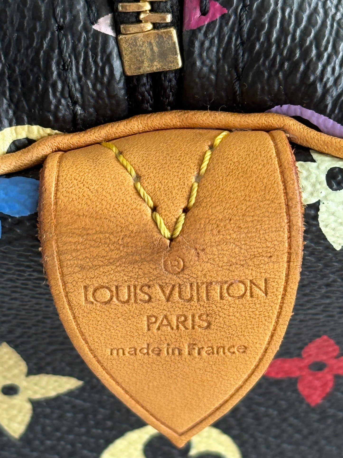 Pre-Owned Louis Vuitton Multicolor Speedy Noir