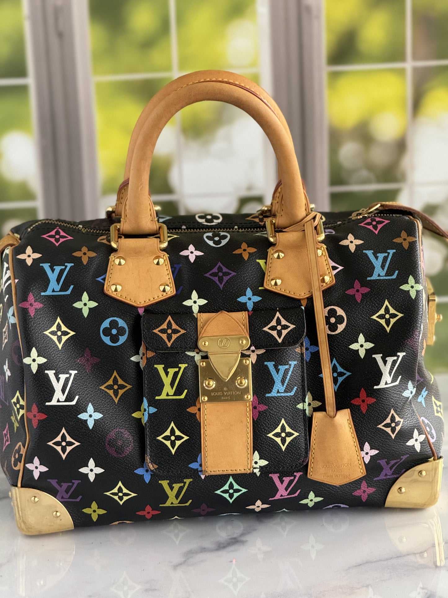 Pre-Owned Louis Vuitton Multicolor Speedy Noir