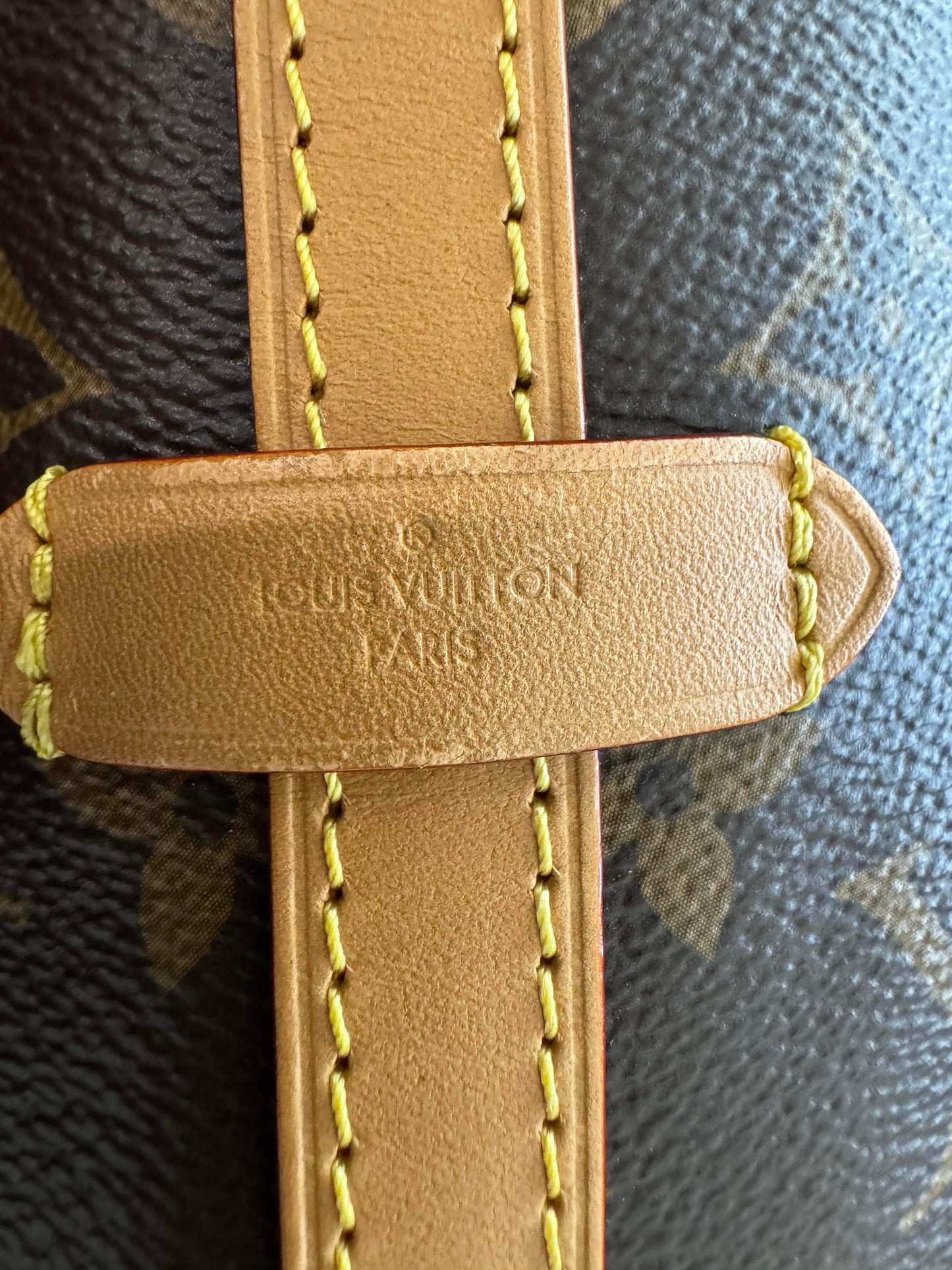 Preowned Louis Vuitton Carry all PM size