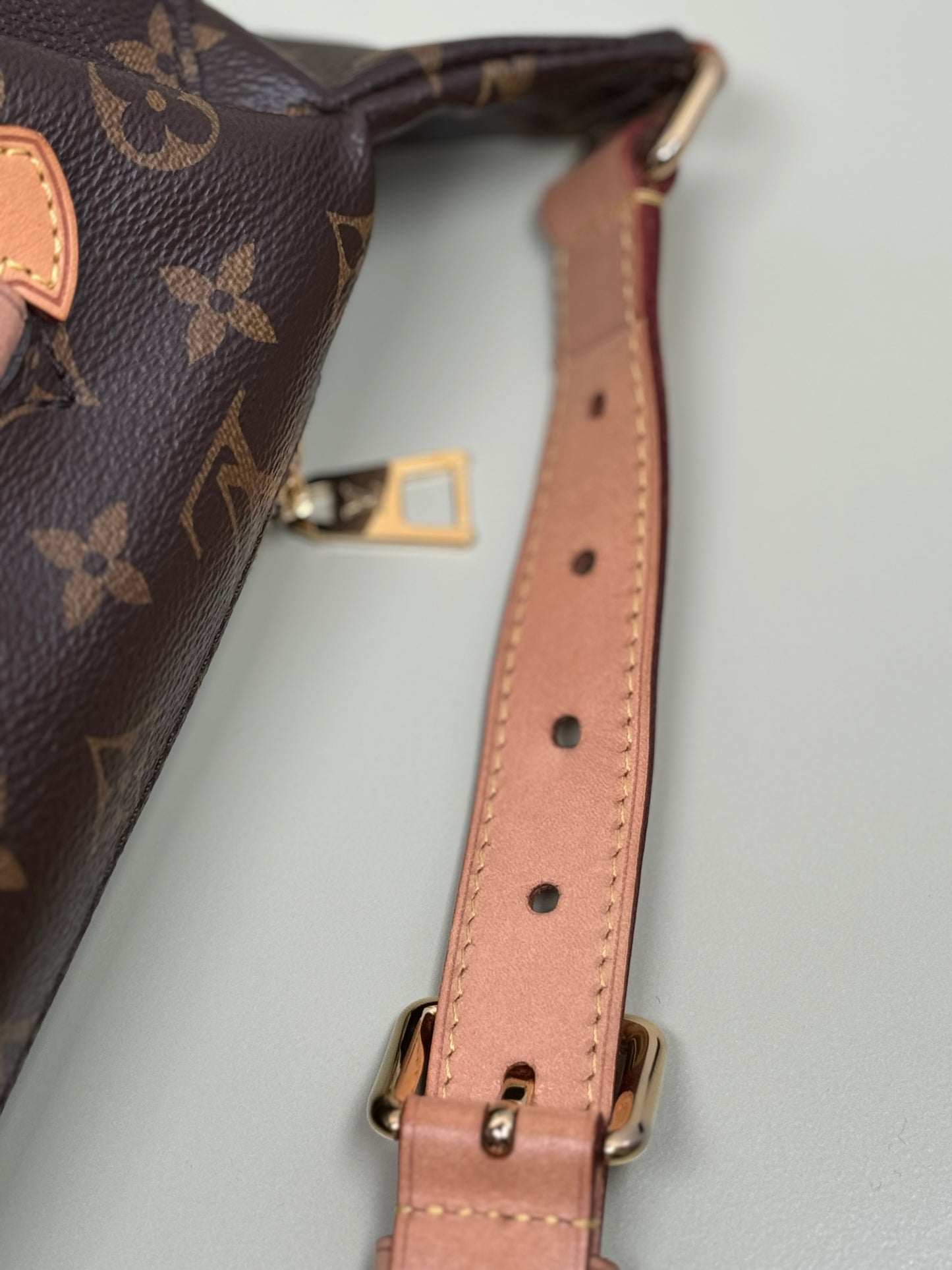 Preowned Louis Vuitton Bumbag Monogram