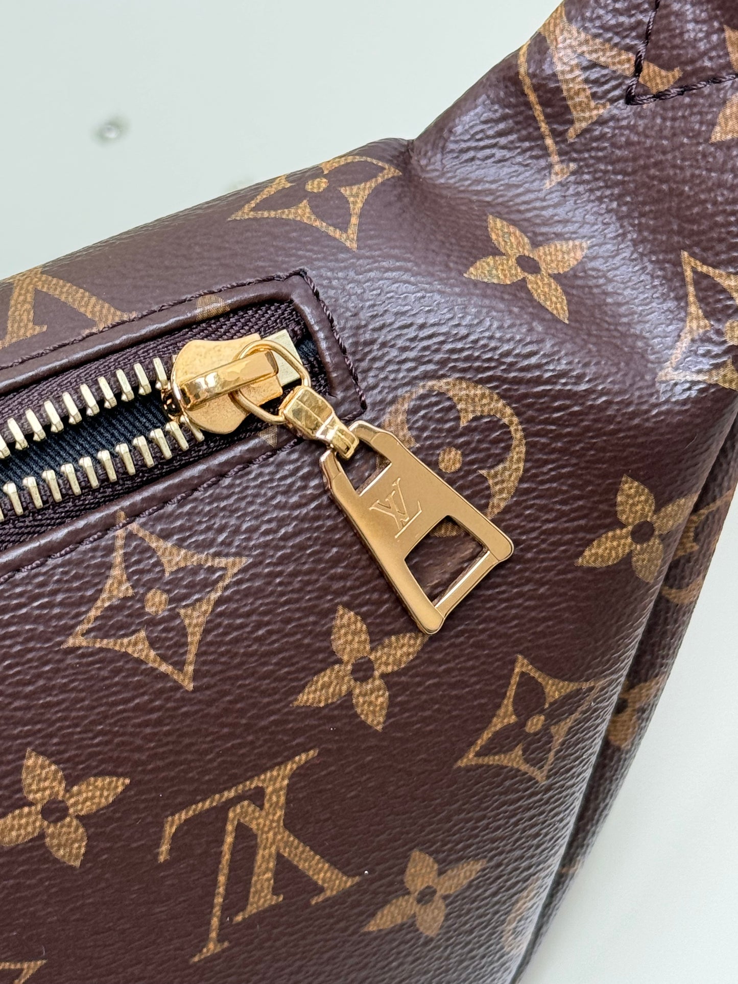 Preowned Louis Vuitton Bumbag Monogram