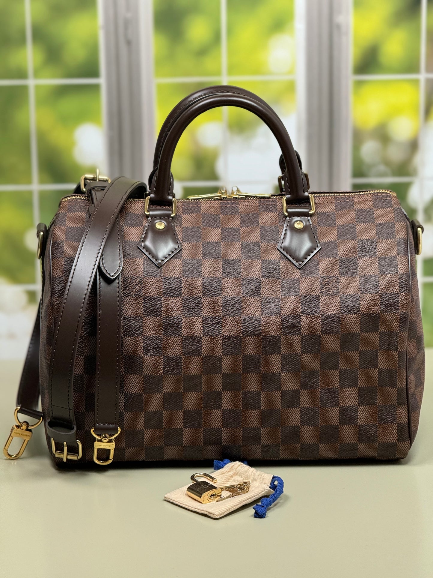 Preowned Louis Vuitton Speedy 30B Damier Ebene