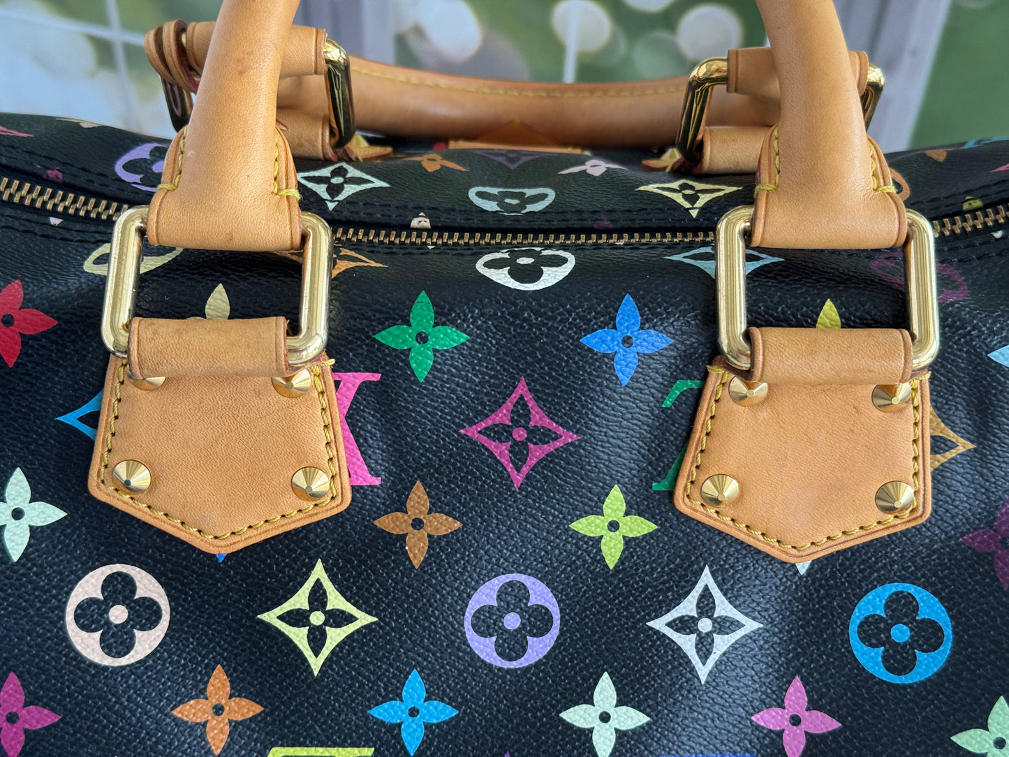 Pre-Owned Louis Vuitton Multicolor Speedy Noir