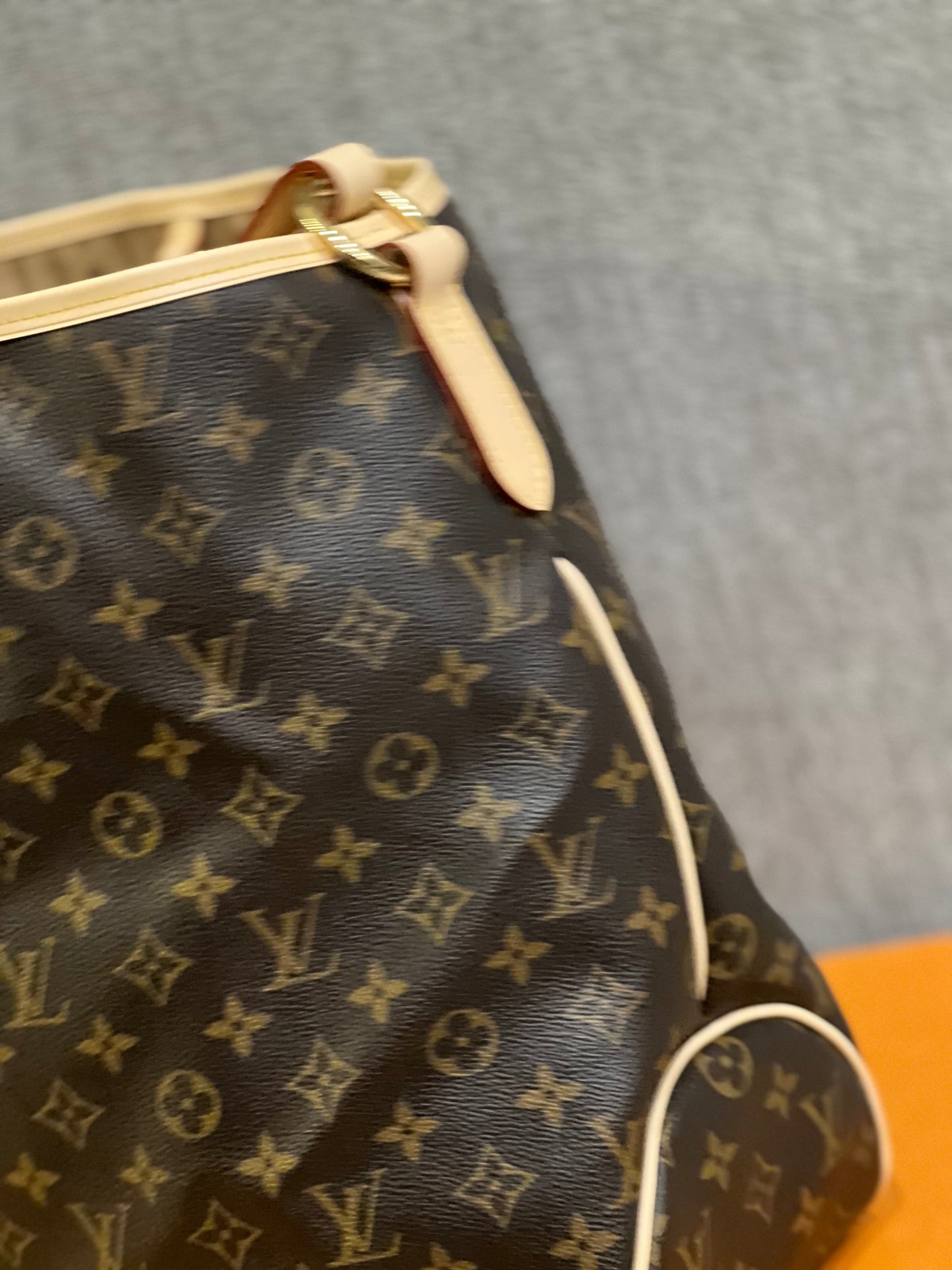 PREOWNED LOUIS VUITTON Delightful GM size monogram